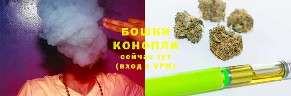шишки Алексеевка