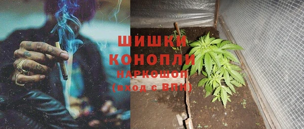 шишки Алексин