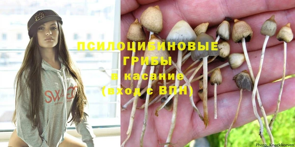 шишки Алексеевка