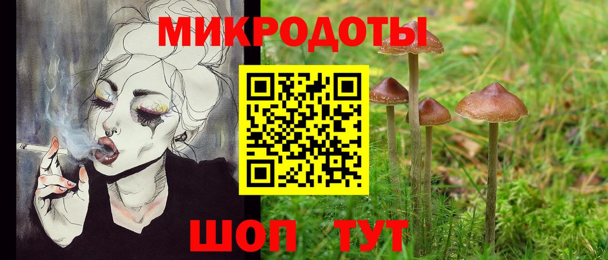 Галлюциногенные грибы Psilocybine cubensis Аргун