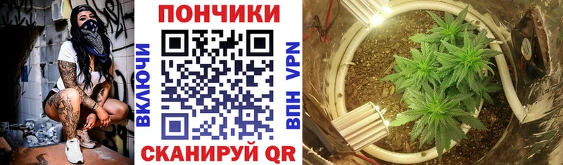 Марихуана тримм  купить наркотик  Аргун 